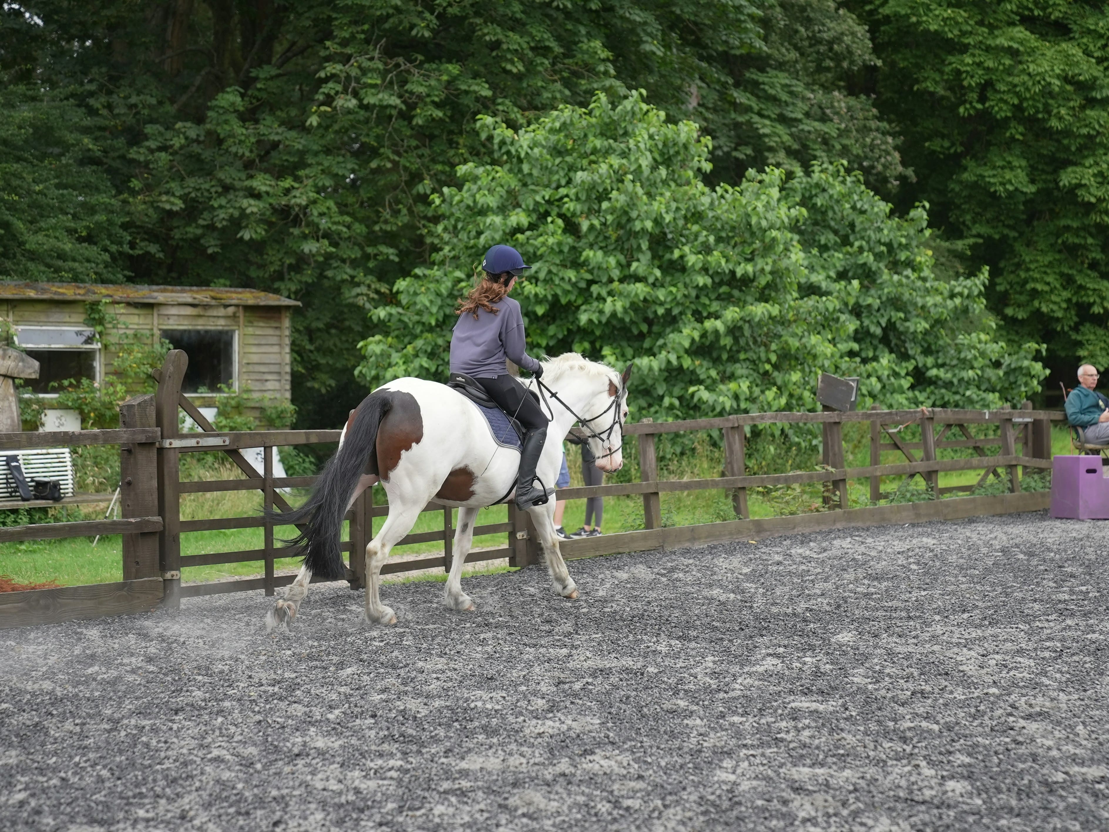 Children learning to ride a horse.